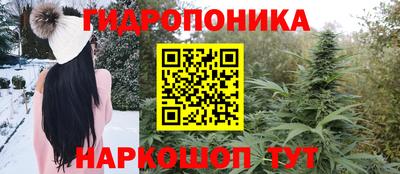 гашиш Аргун