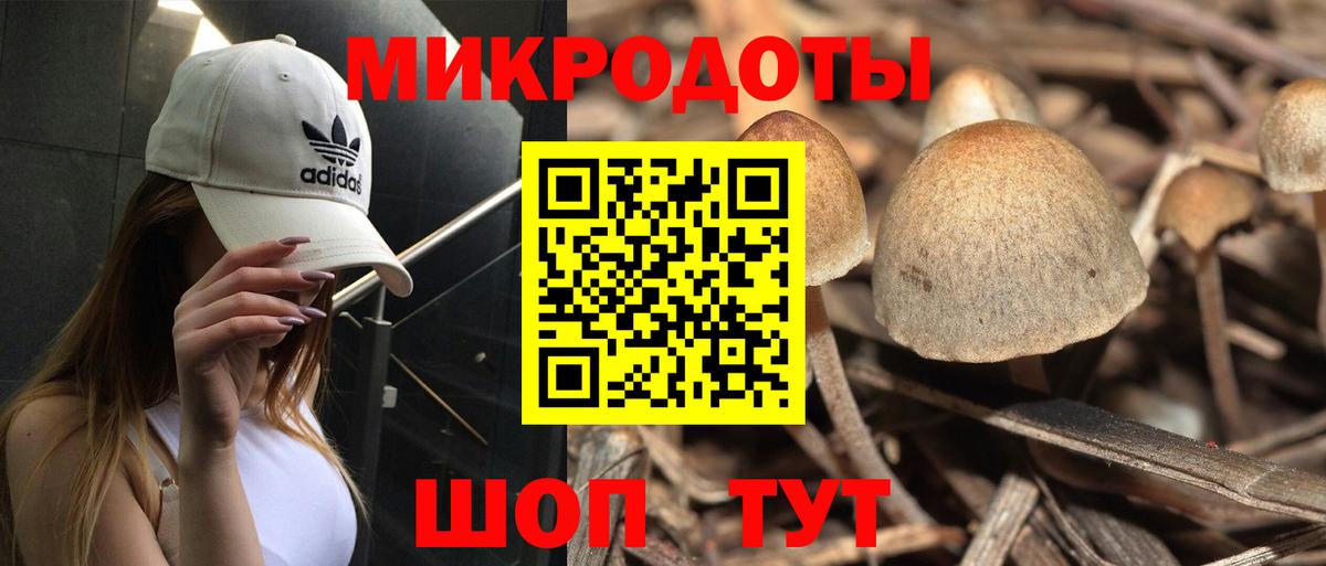 цены наркотик  Псилоцибиновые грибы MAGIC MUSHROOMS  Владивосток  Вход с VPN  Псилоцибиновые грибы прущие грибы 