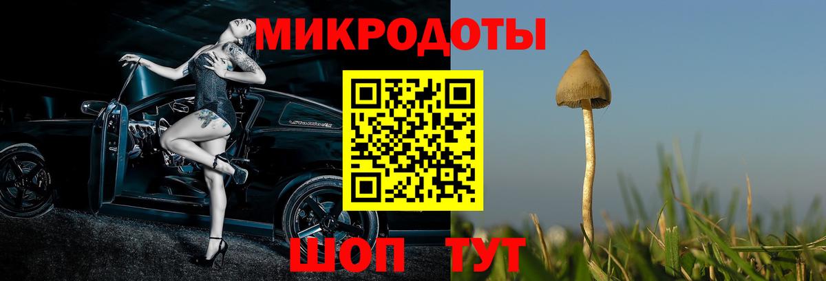 Псилоцибиновые грибы Psilocybine cubensis Владивосток